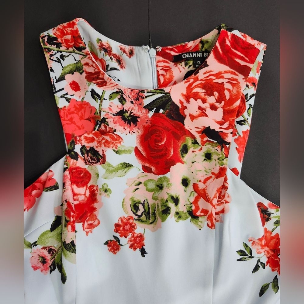 Gianni Bini Floral Mini Dress - Light Blue and Red - Picture 2 of 10